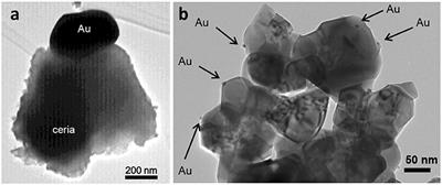 Supported Gold Nanoparticles as Catalysts for the Oxidation of Alcohols and Alkanes